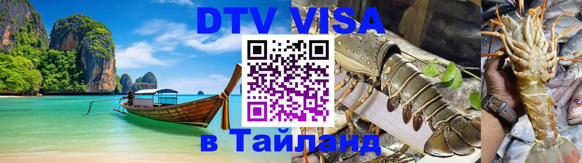 Оформление DTV визы под ключ: стоимость и тарифы, только загранпаспорт - Щёлково  05.10.2025 